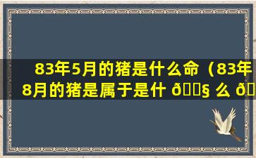 83年5月的猪是什么命（83年8月的猪是属于是什 🐧 么 🦆 命）